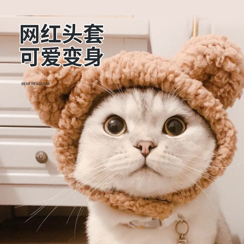 Internet celebrity cat lion headgear cute little hat rabbit ears funny wig Christmas dress up pet clothing