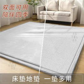 新款双面加厚海绵地垫家用床垫儿童爬行垫打地铺睡垫四季通用地毯