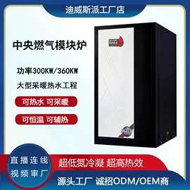 燃气锅炉;电热锅炉;锅炉配附件