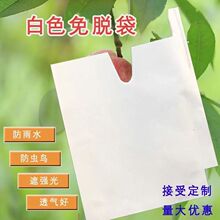 枇杷套袋专用袋梨苹果桃子柑橘柚子杨桃果袋纸袋水果防鸟袋子果树
