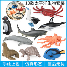 仿真太平洋生物模型企鹅章鱼陆龟虎鲨海豚灰鲸海狮鲣鸟螃蟹套装