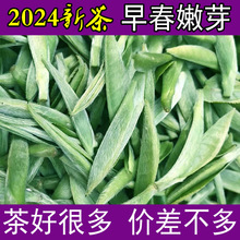 2024新茶霍山黄芽茶叶清香黄茶明前特一级安徽春茶散装250g