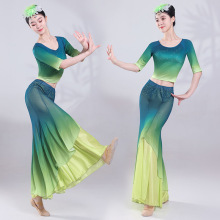 傣族舞蹈服装演出服女成人新款云南西双版纳少数民族衣服裙子套装