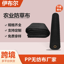 黑色聚丙烯 PP 防草布无纺布 可降解 跨境供应农用覆膜园艺地布