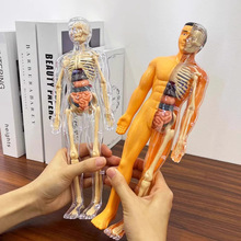�羳���w���K�Y��ģ�ͽ̾��沿�Y��ģ�����ٿɲ�ж3d���w��ͯ���