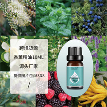 羳ˮ10ML¼ӝ޹CUo޹ Fragrance Oil