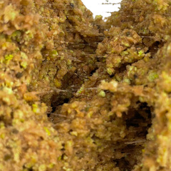 一包搞定魚誘釣魚餌料黑坑野釣鯽魚鯉魚草魚翹嘴搓餌拉餌誘魚粉餌