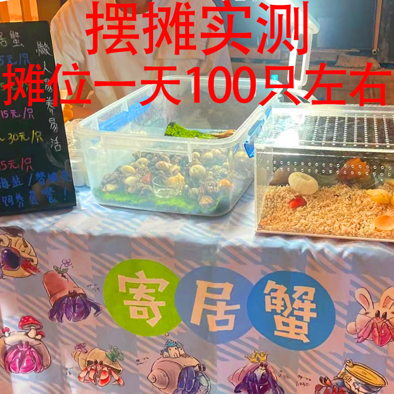 40605a1a-8636-4d1d-97fc-51c94e0a59c9.jpe