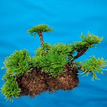 ����Ұ��߀����辰�Gֲ���ܼ�ɽֲ��,��ˮʯ�쾰