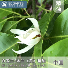 �����m������ �����η�����ԭ�ϻ������s��ȡľ�m�������������l