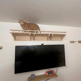 猫窗栖，猫吊床，猫窗床，木猫架，极简主义宠物家具