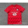 25-26 Ligue 1 Lille home court