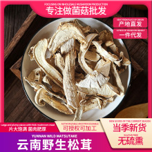 云南野生松茸