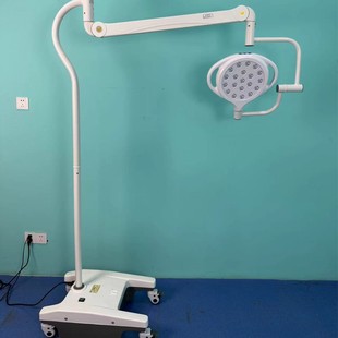 Oral Clinic Lighting Lamp Ophthalmic Operating Lamp 300 Easy to Operate Shadowless Surgical Lights