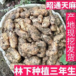 �����ͨС�݉�����F���r��������鶬����һ���b���]��؛��؛��