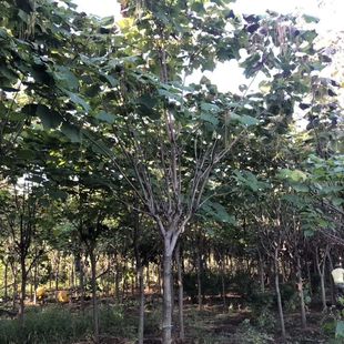 �_ԭ����؛Դ���~����@�hҎ���Rȫ�������~�����ͺ����̾G���Ø�