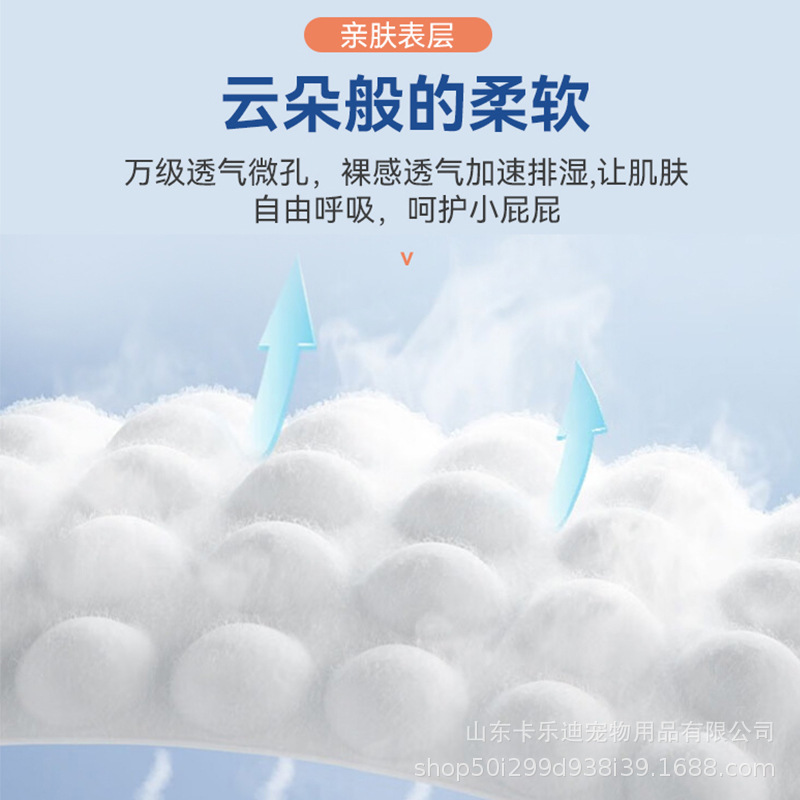 宠物纸尿裤大量批发一次性狗狗尿不湿母狗月经裤泰迪公跨境热销|undefined