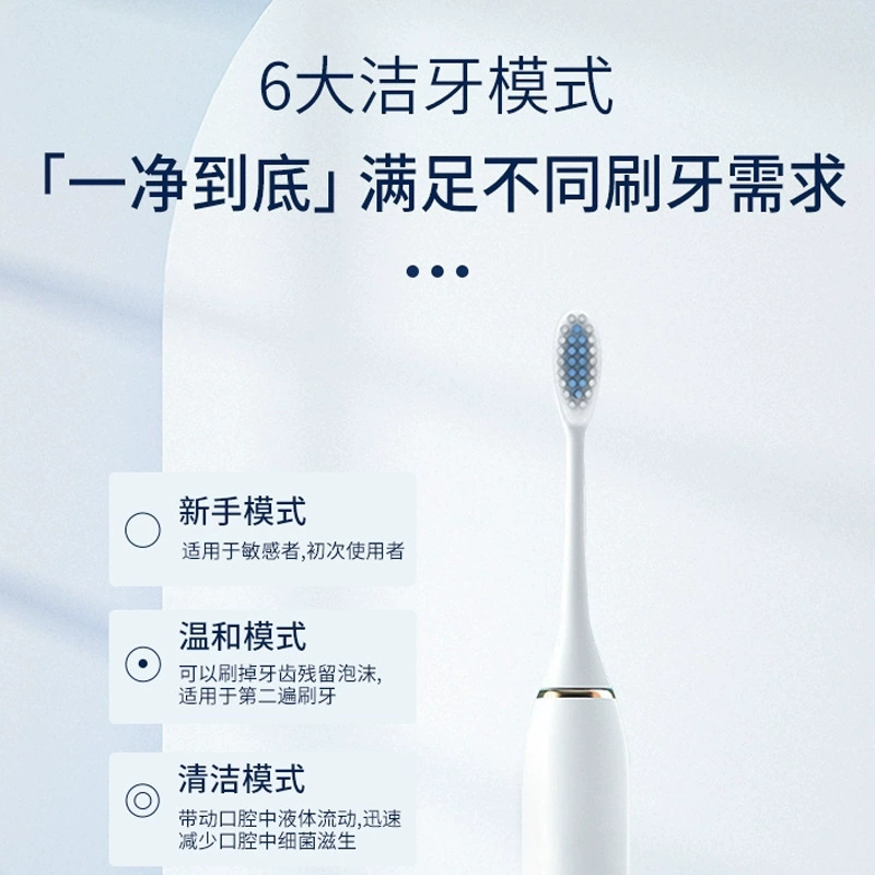 Sonic Electric Toothbrush Rechargeable, Adult Unisex, 6‑Mode Ultrasonic, Gift & Travel Set