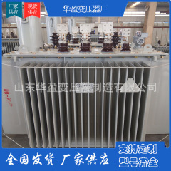 S13-M-1000KVA三相全密封油浸式配電変圧器10/35/0.4kv箱変定