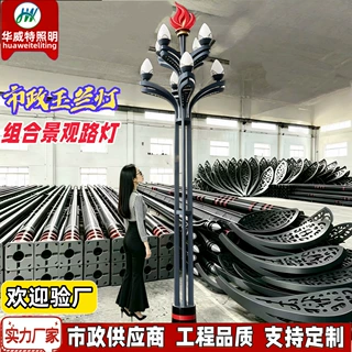 户外玉兰灯市政工程中华灯广场庭院景观照明高杆大型多头组合路灯