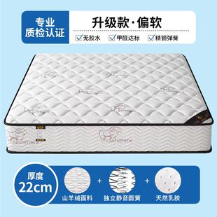 Top Ten Furniture Simmons Mattress Economical 20CM Thick Household Spring Latex Coconut Soft and Hard Dual Use