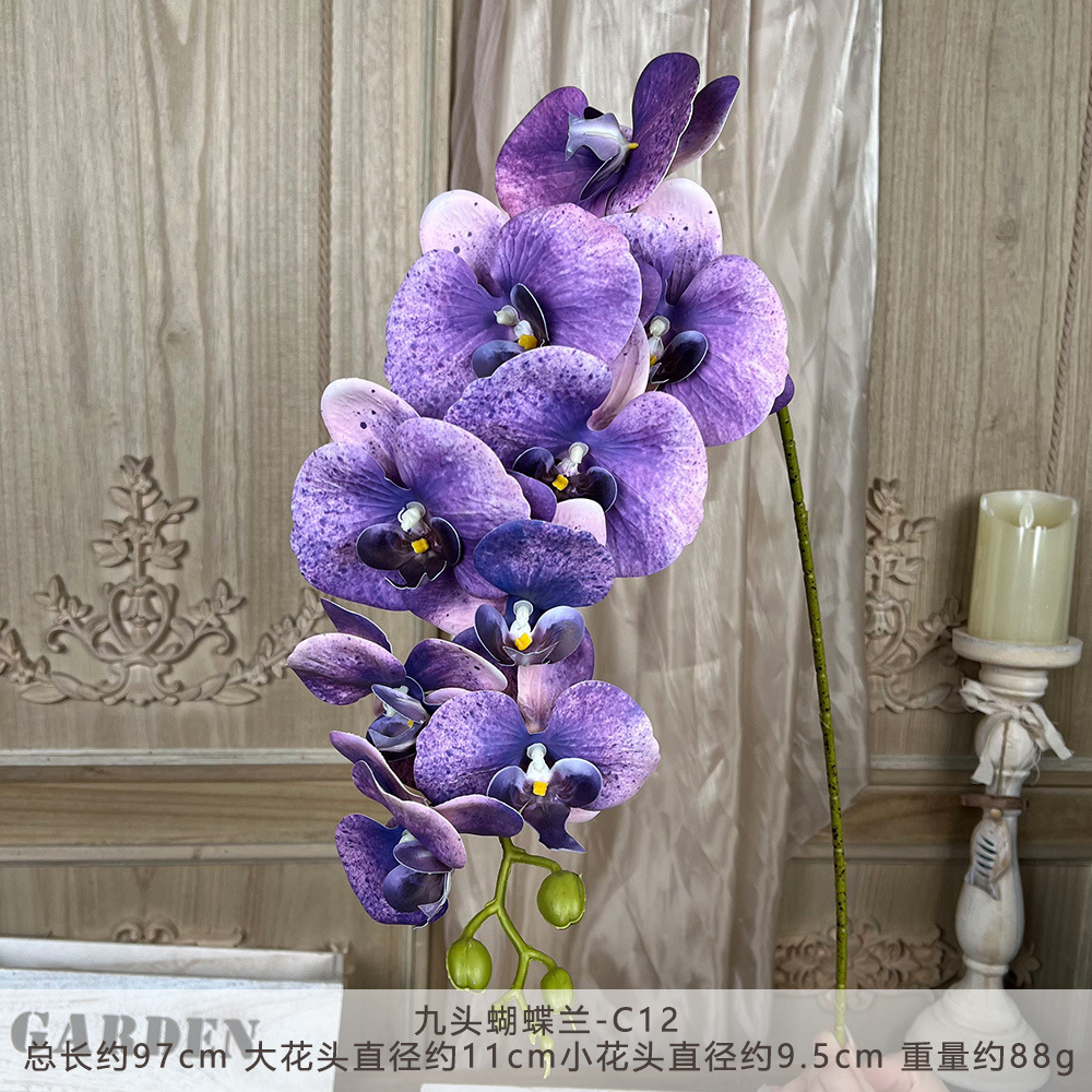 LCXH-나인헤드 호접란-C12