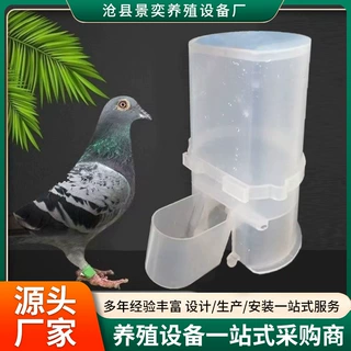 鸽子鸟用饮水器用具自动水壶料器鹦鹉喂食芦丁鸡用品食槽小鸡食盒
