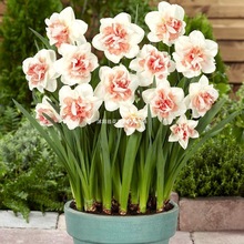 �M����ˮ�ɷN��ˮ�������ذ��ļ��_���҃����̨���B����ֲ���ͺ�