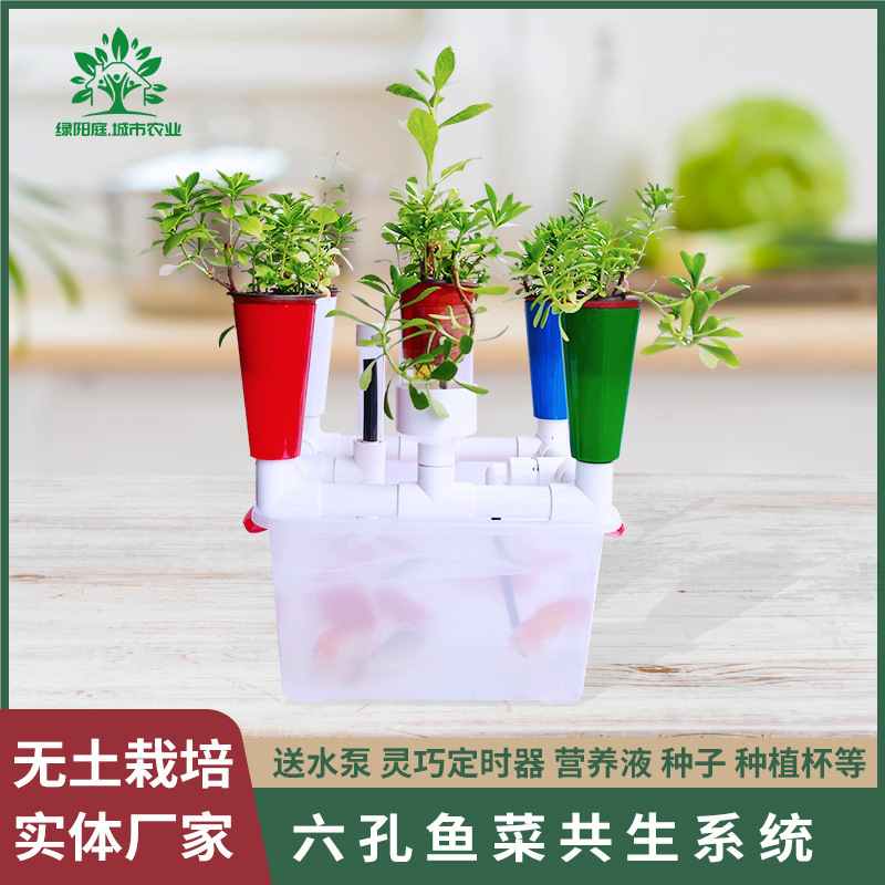 6 hole fish and vegetable symbiosis system equipment tide planting system baby teaching fish and vegetable fish flower symbiosis equipment free shipping 6 hole fish and vegetable symbiosis system equipment tide planting system baby teaching fish and vegetable fish flower symbiosis equipment free shipping