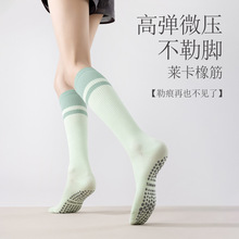 �¿�С�ȉ����m�\���m��Ů���I�ܲ����K�٤�m�����LͲ�mŮ�c�z�m