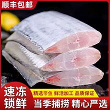 新鲜带鱼段大段冷冻带鱼东海小眼带鱼刀鱼段中段海鲜水产顺丰冷链