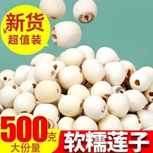 24【湘潭莲子】新货莲子干货无硫野生莲子新鲜磨皮去芯白莲子批发