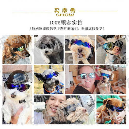 Pet Supplies Colorful Dog Glasses Sunglasses Amazon Cat Sunglasses Pet Glasses Manufacturer Wholesale
