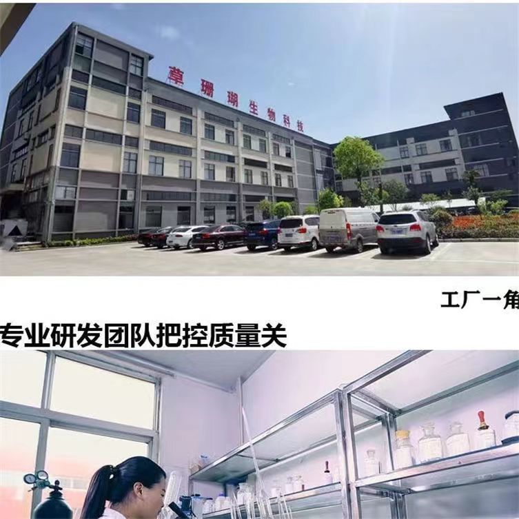 Cover power grass coral bio-calcium chewable tablets sucrose-free calcium tablets for middle-aged and elderly calcium supplements for adults one-piece generation