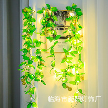 ��Ʒ������J�������l�����پG�~����led�G�}�~�����ʟ�늳غ�