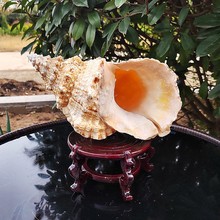 ��Ȼ���ݴ�����ʯ�P���� ���~���쾰����̖�����Ĵ�����