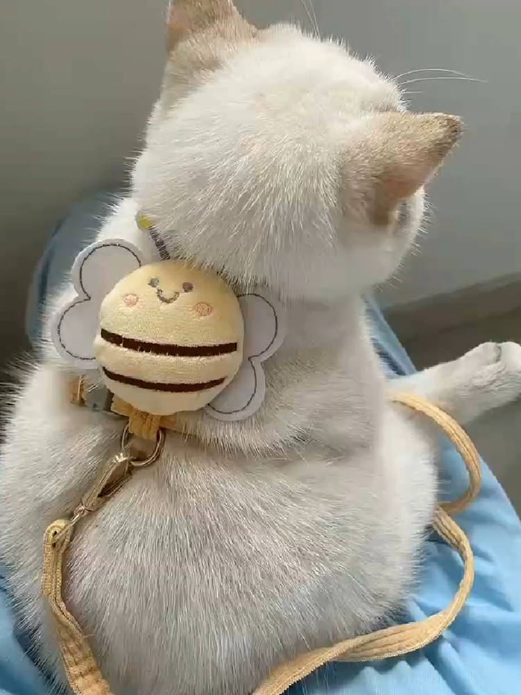 Поводок для кошек, специальный I-образный веревочный поводок для прогулок на открытом воздухе, предотвращающий потерю, модный поводок для домашних животных