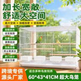 跨境鹦鹉超大号折叠鸟笼生态笼喷塑加粗加密八哥小太阳养殖笼