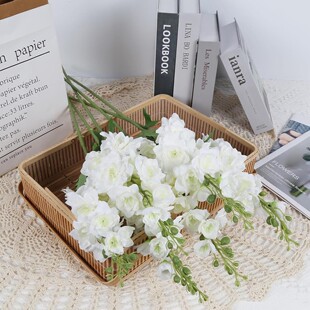 �羳���u������~�ݷ�ɫ���^���ٻ���c�����b��������������