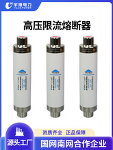SDLAJ熔管XRNT1-12KV/10A-12熔芯24KV高压高分断限流熔断器35KV