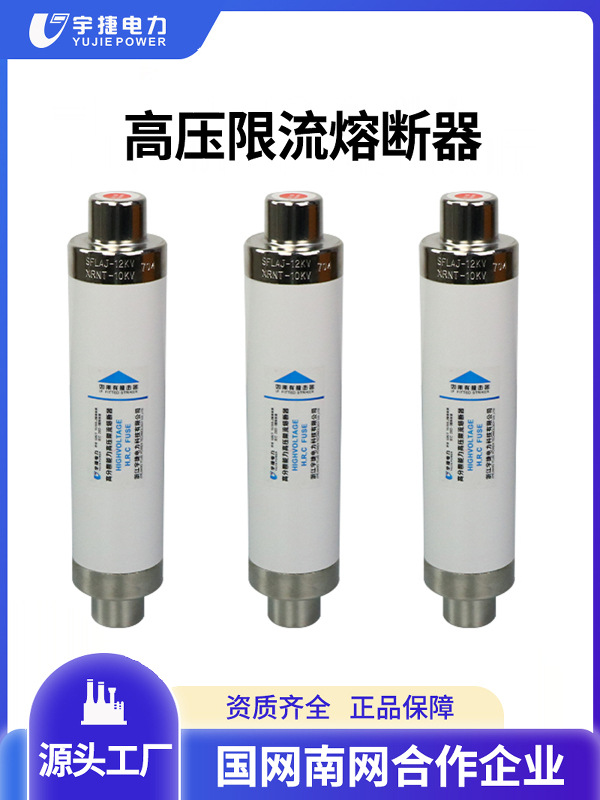 SDLAJ熔管XRNT1-12KV/10A-12熔芯24KV高压高分断限流熔断器35KV