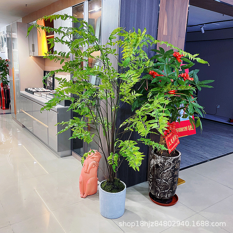 9d40c10dbd0f459ae0bdd9e7195758