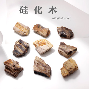 �軯ľ��ʯ�仯����|ľ��ʯ�~���쾰���|���ս̌W�˱��ղؔ[��