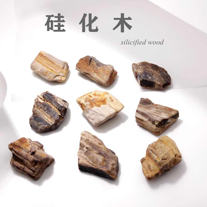 硅化木化石樹化玉瑪瑙質木化石魚缸造景地質科普教學標本收藏擺件