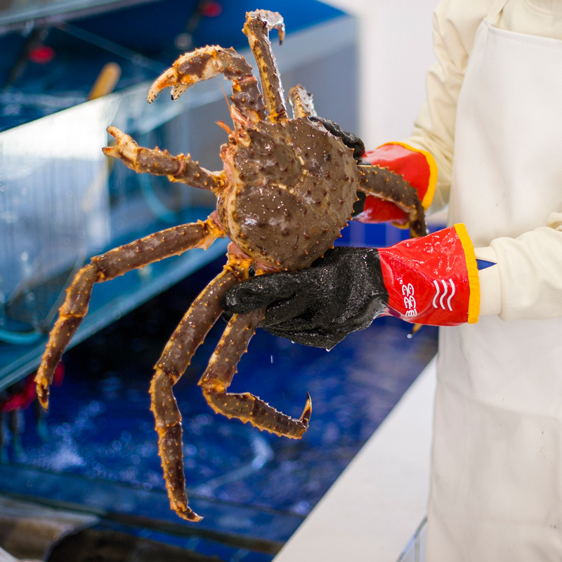 Dengsheng guantes acuáticos de inmersión completa para la matanza de peces de mariscos impermeables antideslizantes de partículas grandes engrosados guantes de protección laboral