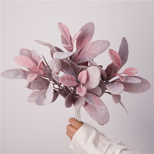 ���sɭϵ����Gֲ�ö��~�����~���^ֲ��~�ӼҾӔzӰ��c�b�