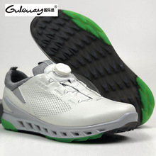 头层皮运动休闲时尚男式皮鞋健步透氧GOLF系列高尔夫男鞋102104