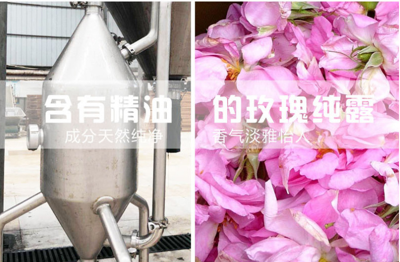 微信截图_20200602162447