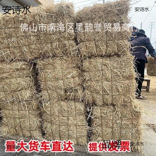 Natural Foreign Trade Dried Rice Straw Bedding Mat for Chicken Coop Roof