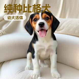 ����l���N�ȸ�ȮС�w�͹������ґ�Ժ��ë�o�wζ�������l